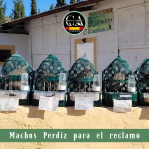 MACHOS DE RECLAMO (1)